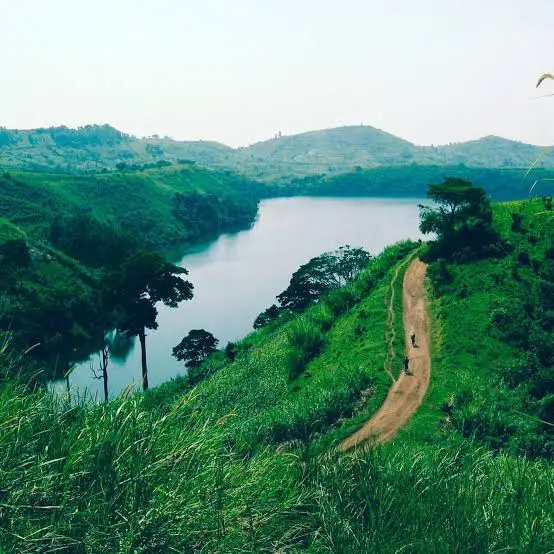 Landscape of Rwenzori Mountains in Uganda